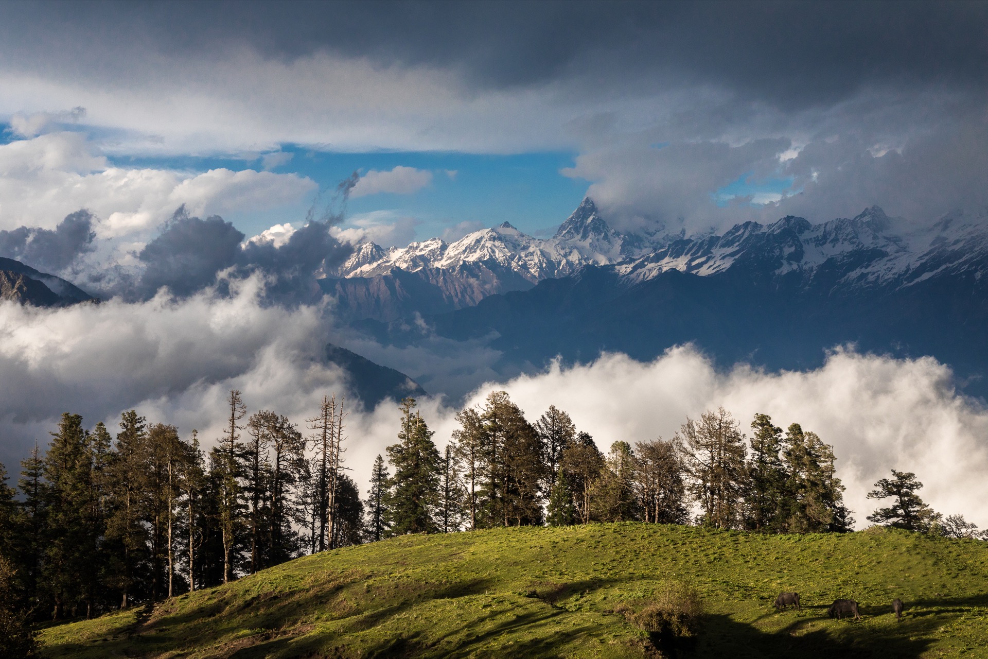 Uttrakhand